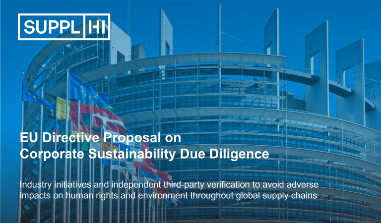Insights from the European Commission Directive Proposal on Corporate Sustainability Due Diligence